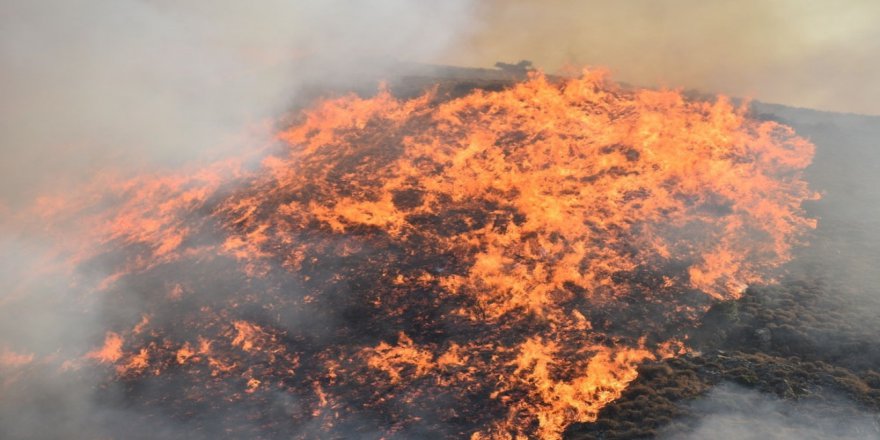 İstanbul’da Orman Yangınlarına İlişkin 3 Pkk’lı Gözaltına Alındı