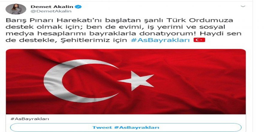Ünlü İsimlerden Barış Pınarı Harekatı’na Destek