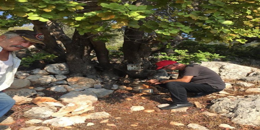 Kaş’ta Aksan’dan’ Biyolojik Çeşitliliğin Korunması’ Araştırması