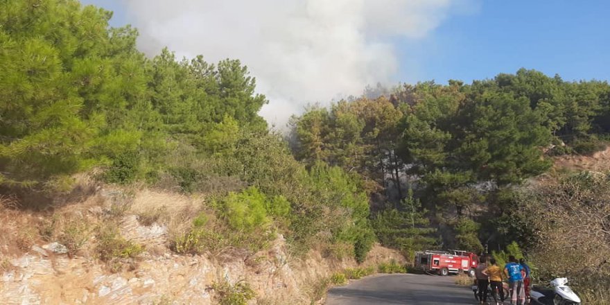 Alanya’da Orman Yangını