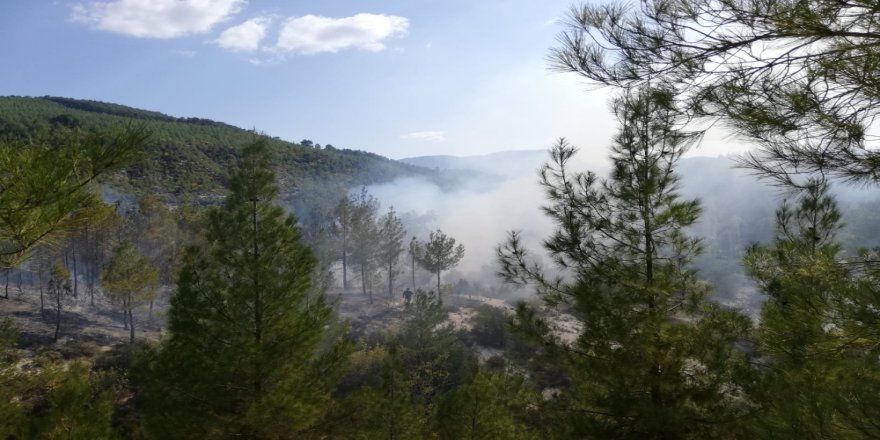 Denizli’de Orman Yangını