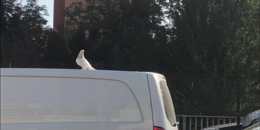 E-5’te İlginç Görüntü, Görenler Dönüp Bir Daha Baktı