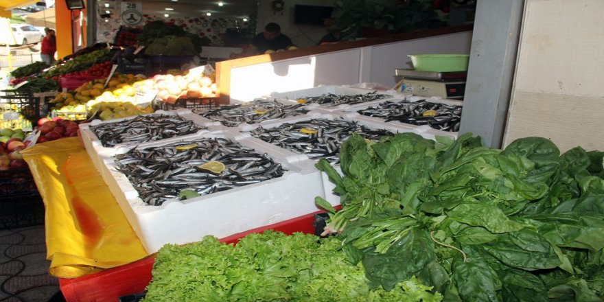 Hamsi Alana Ispanak Bedava