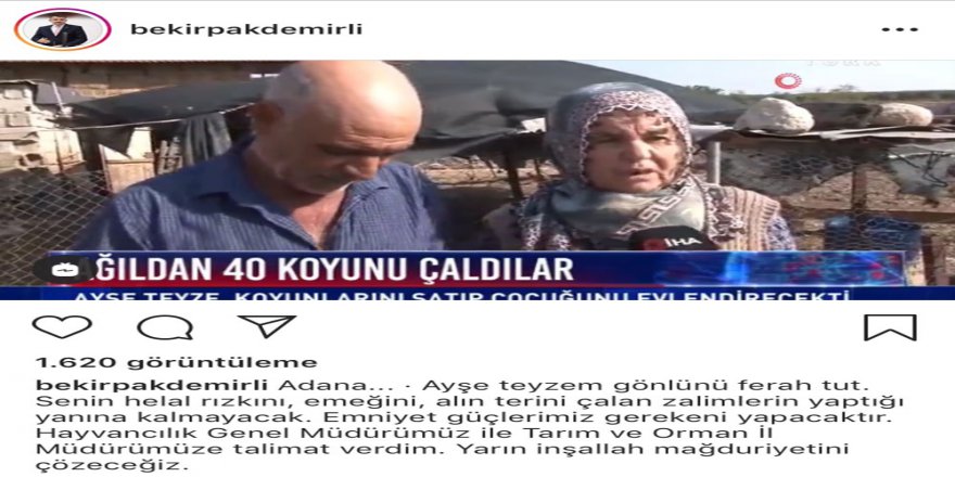 Bakan Pakdemirli’den Koyunları Çalınan Ayşe Teyzeye Destek