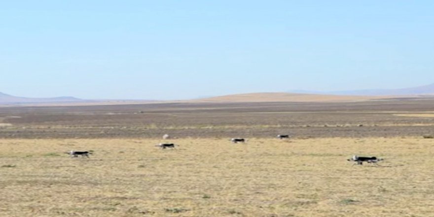 İha’lar, Gps Olmayan Ortamda Da Görev Yapacak