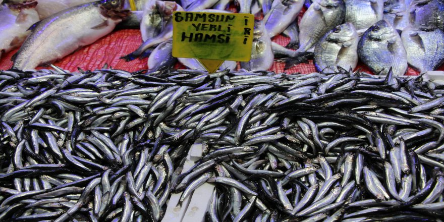 Balık Fiyatları Havaya Endeksli