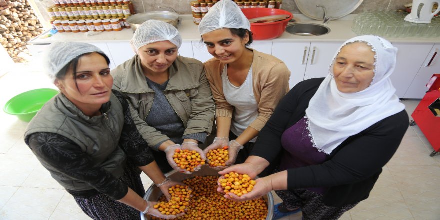 Köyde Kadınlar İmalathane Kurdu, Doğal Meyvelerle Üretime Başladı