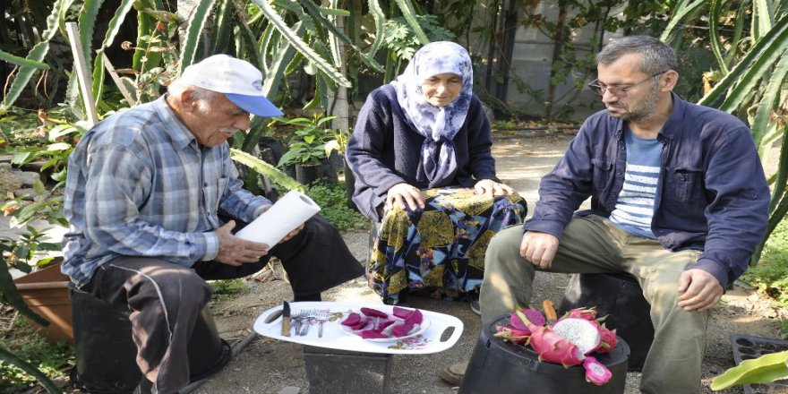 Bahçede Kilosu, Tezgahta Tanesi 30 Lira