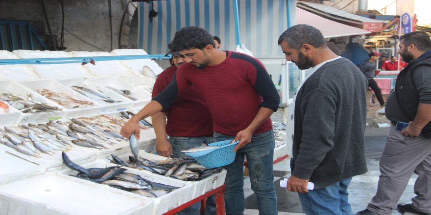 Şanlıurfa’da Balığa Rağbet Arttı