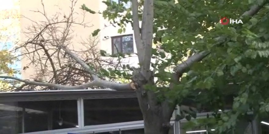 Şişli’de Aşırı Rüzgardan Kırılan Ağaç Dalı, Restoran Çatısına Düştü