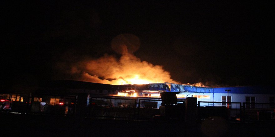Düzce’de Fabrika Yangını