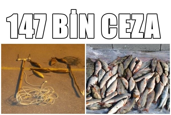 TAM 147 BİN TL ÖDEYECEKLER