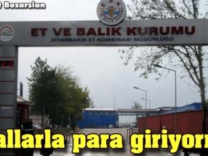 Et Balık Kurumu'na çuvallarla para giriyormuş!
