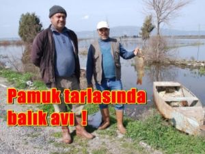 Pamuk Tarlasında Balık Avlamak !