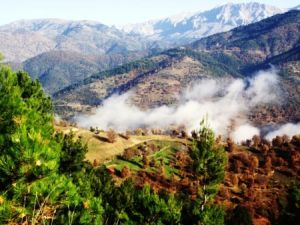 Ormanlar ve sular ‘yeşil ekonomi’ye kurban edilecek!