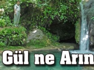Gül de Arınç da çare olamadı