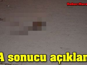 Kesik baş cinayetinde DNA sonucu açıklandı