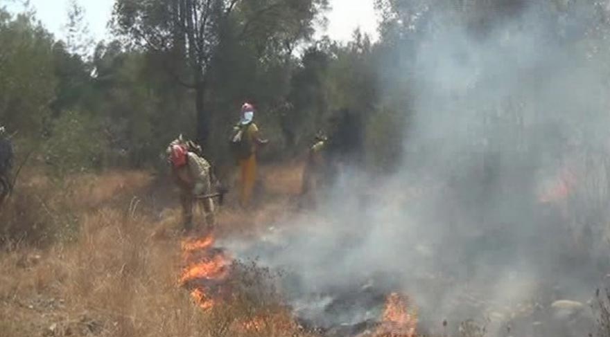 MUĞLA ULA'DA YANGIN