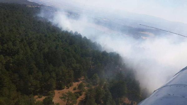 ÇANAKKALE'DE ORMAN YANGINI