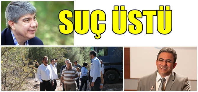 AKP'Lİ MENDERES TÜREL'DEN BİR SKANDAL DAHA