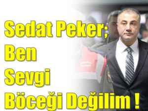 Sedat Peker: Ben sevgi böceği değilim