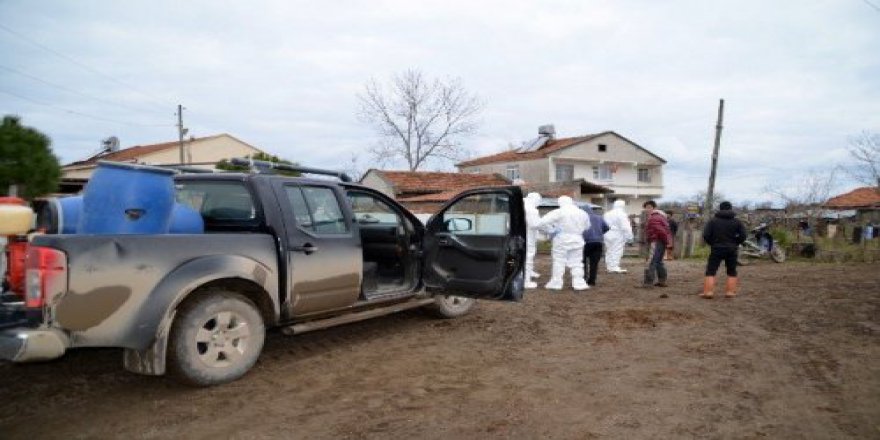 SAMSUN'U TEDİRGİN EDEN KUŞKULU HAYVAN ÖLÜMLERİ