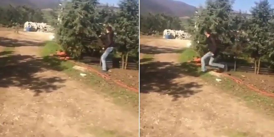 Köpeğe 12 el ateş edip kahkahalar attılar!