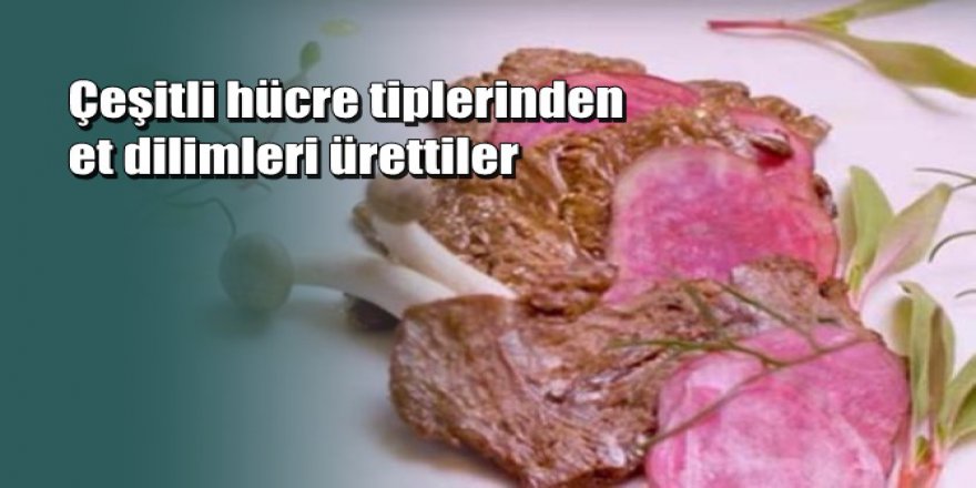 Laboratuvarda ilk ‘biftek’ üretimi