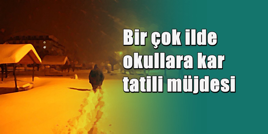 Bir çok ilde okullara kar tatili ilan edildi