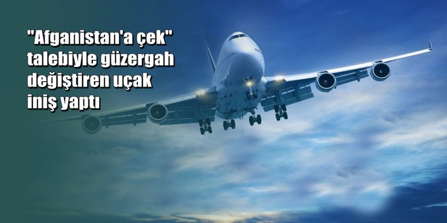 Silahlı yolcu uçağı indirdi