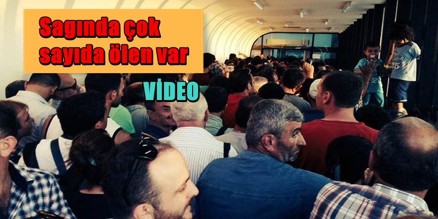 Domuz Gribi kabusu geri döndü 21 Kişi öldü
