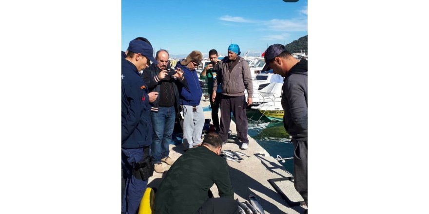 Ekipler Boylarını Tek Tek Ölçtü, Standartlara Uymayanlara Ceza Kesti