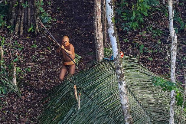 01-uncontacted-tribe-amazon.ngsversion.1482379103654.adapt_.1190.1.jpg
