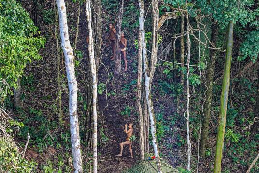 05-uncontacted-tribe-amazon.adapt.536.1.jpg