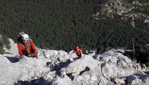 AKUT, DOĞA TAHRİBATINA KARŞI TEPKİ