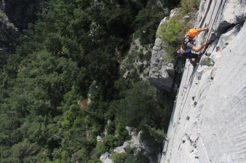 AKUT, DOĞA TAHRİBATINA KARŞI TEPKİ