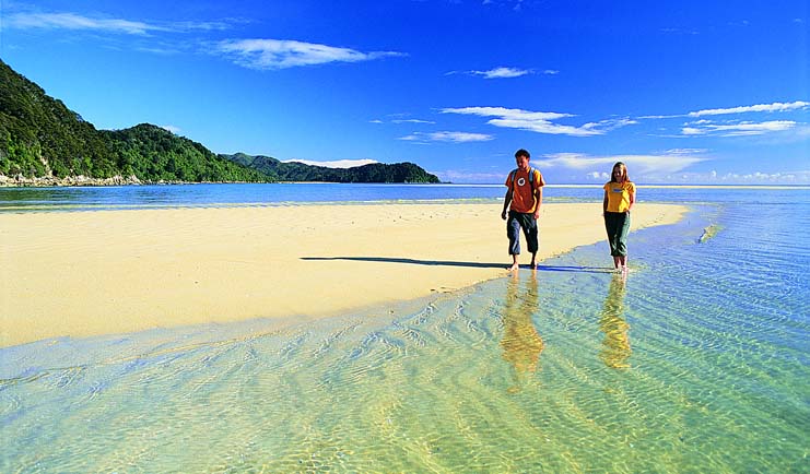 awaroa-abel-tasman-national-park-new-zealand.jpg