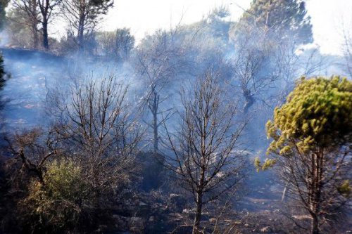 BODRUM'DA KORKUTAN YANGIN