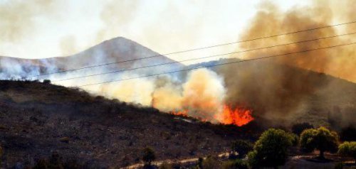 BODRUM'DA KORKUTAN YANGIN