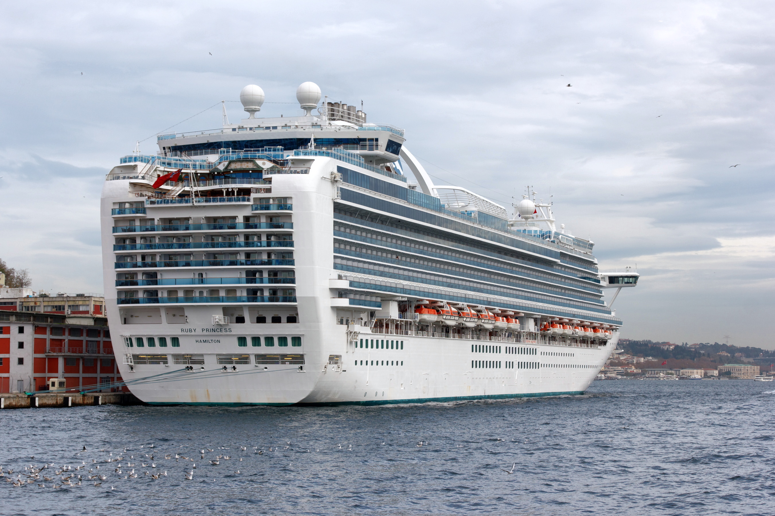 istanbul_bosphorus_cruise_ship_ruby_princess_img_7545_1800.jpg