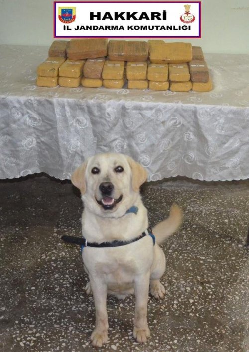 KAZA YAPAN ARAÇTA 21 KİLO EROİN BULUNDU