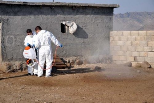 KÖYDE 6 AYLIK KUDUZ KARANTİNASI