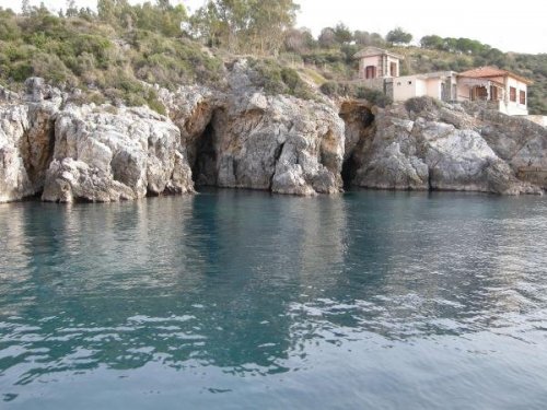 KUŞADASI’NDA ÖLÜ AKDENİZ FOKU BULUNDU