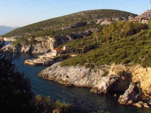 KUŞADASI’NDA ÖLÜ AKDENİZ FOKU BULUNDU