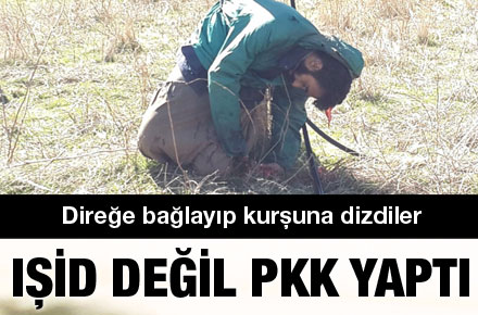 pkkkursunadizdi.jpg