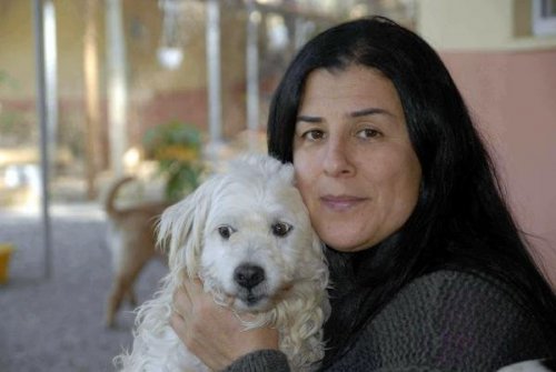 YAVRU KÖPEK DÖVE DÖVE ÖLDÜRÜLDÜ!