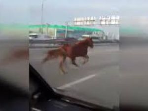 SOSYAL MEDYA BURSA'DA ÇEKİLEN BU GÖRÜNTÜLERİ KONUŞUYOR