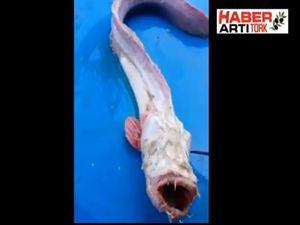 YENİ KEŞFEDİLEN BU BALIK TÜRÜ KORKUTTU