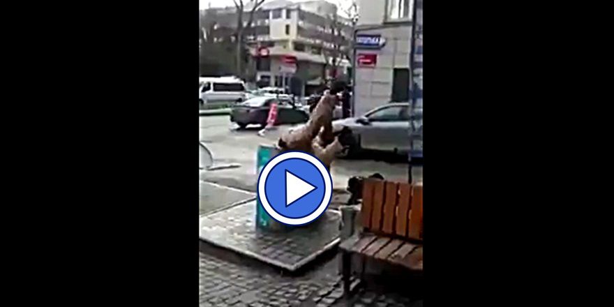 SURİYELİLERE DUYULAN NEFRETİN GÖRÜNTÜLERİ