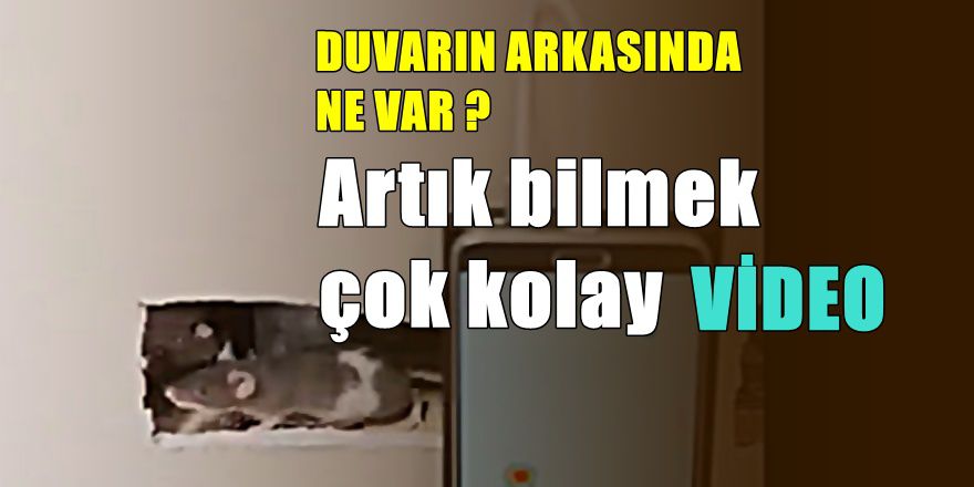 Bu telefon duvarların arkasını da görüyor